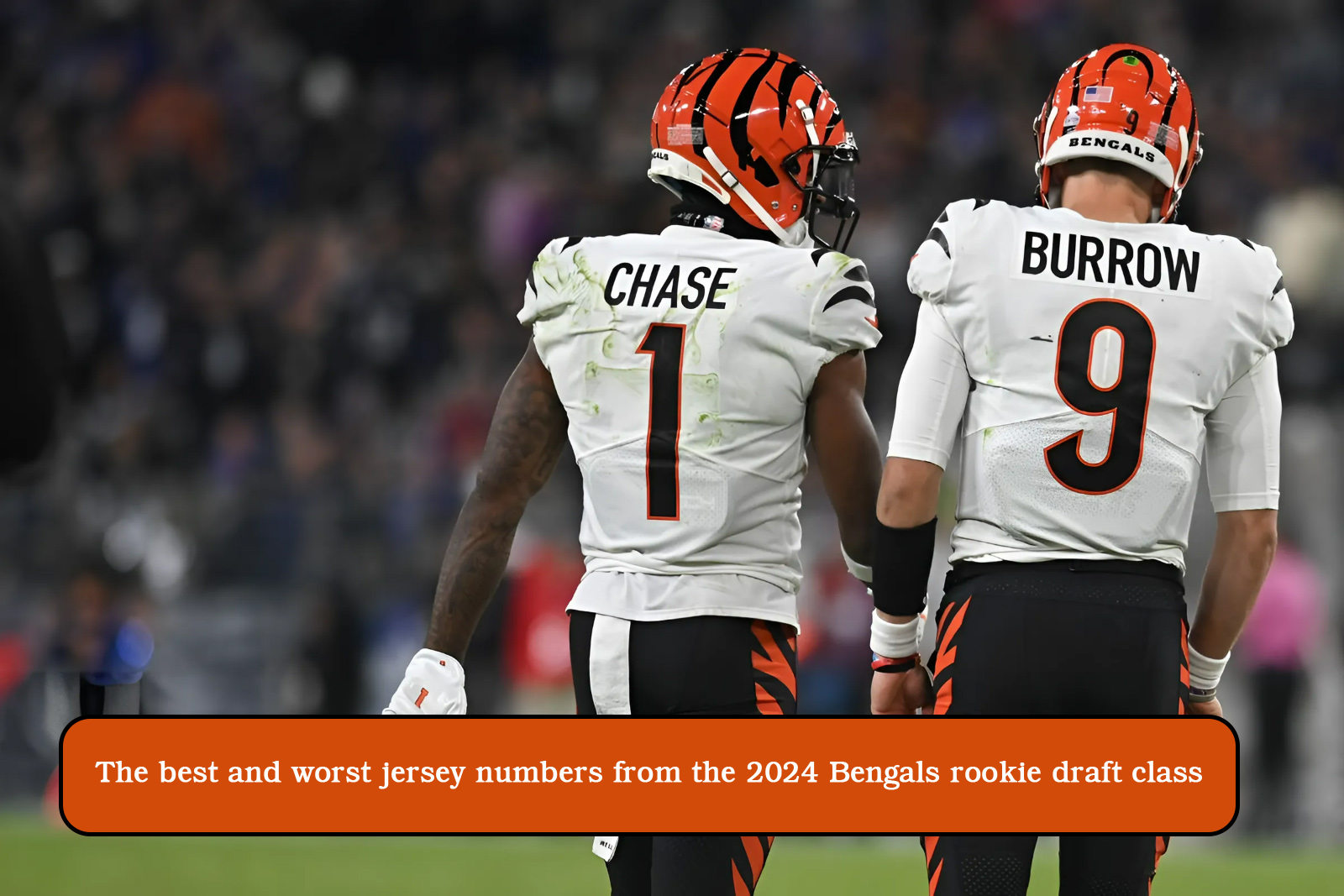 The best and worst jersey numbers from the 2024 Bengals rookie draft class